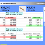 Mealworm vs. Cricket – costs