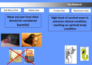 HARMFUL Non-Insect Diets