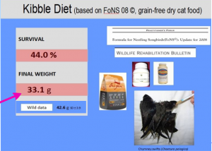 Kibble diet -CONCERNING RESULTS!