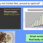 Why not Cricket Diet ?
