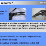 Mealworm Diet, unfounded concerns