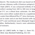Mealworm Diet – Study group