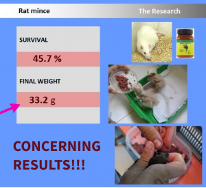 Rat mince diet -CONCERNING RESULTS!