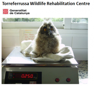 Torreferrussa Wildlife Rehabilitation Centre